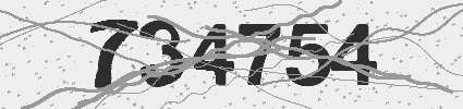 Captcha 29